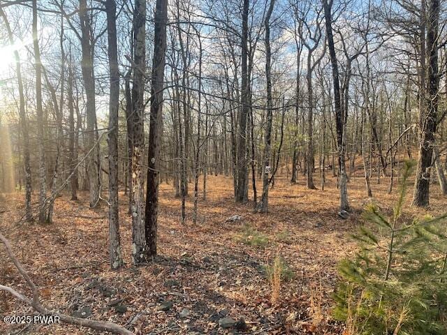 Listing photo 2 for LOT55 Summit Ct, Milford PA 18337