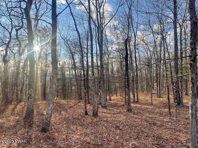 Listing photo 3 for LOT55 Summit Ct, Milford PA 18337