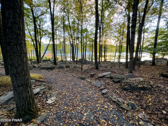 view of yard with a water view