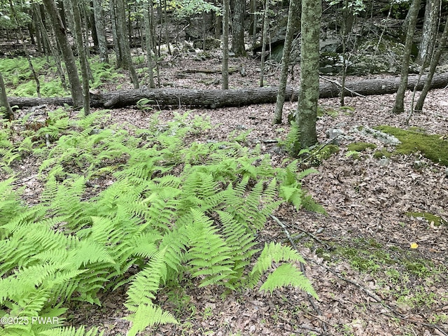 LOT92 Stone Dr, Hawley, PA 18428