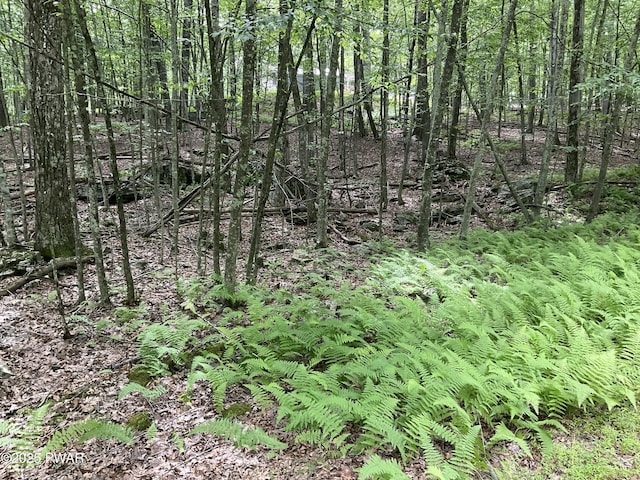 LOT92 Stone Dr, Hawley, PA 18428