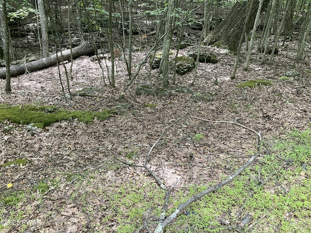 LOT92 Stone Dr, Hawley, PA 18428