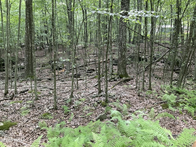 LOT92 Stone Dr, Hawley, PA 18428
