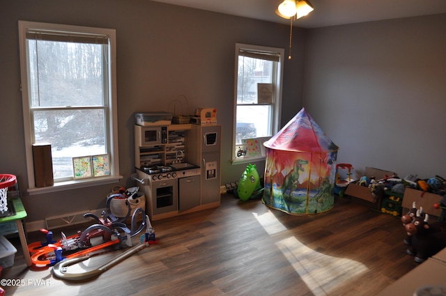 rec room with wood finished floors