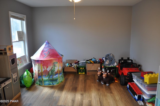 recreation room featuring plenty of natural light and wood finished floors