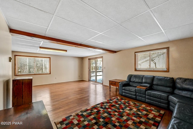 living room featuring a paneled ceiling, hardwood / wood-style floors, and french doors