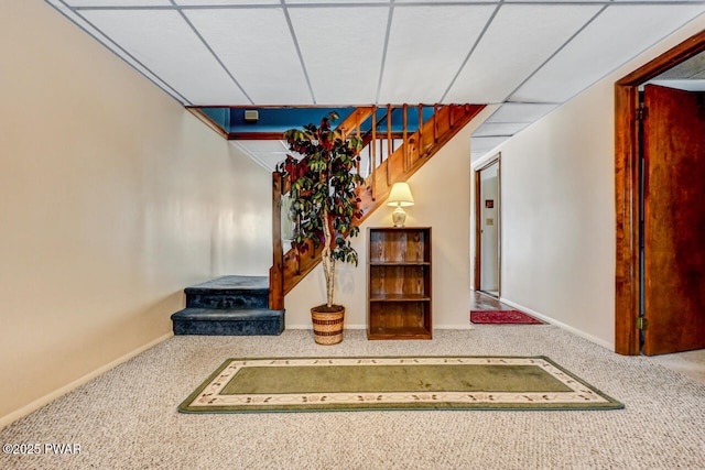 stairs featuring carpet floors and a drop ceiling