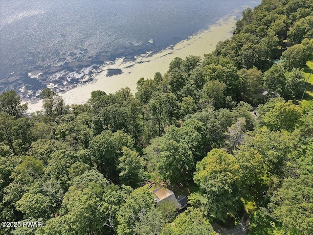 130 Ridgefield Point Rd, Greentown, PA 18426 - photo 62