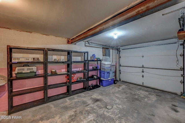 1036 Mountain Top Dr, Lake Ariel, PA 18436 - garage with concrete block wall