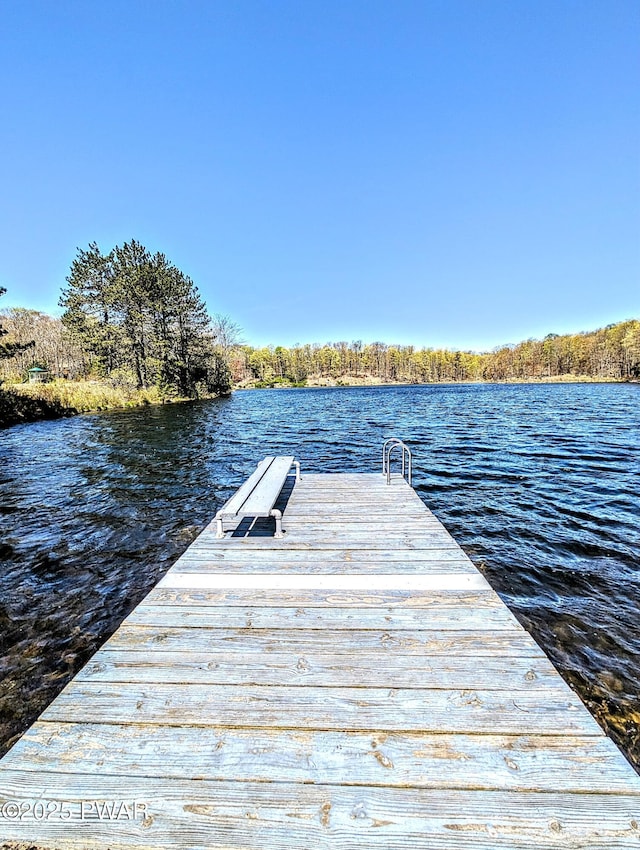 view of dock with a water view