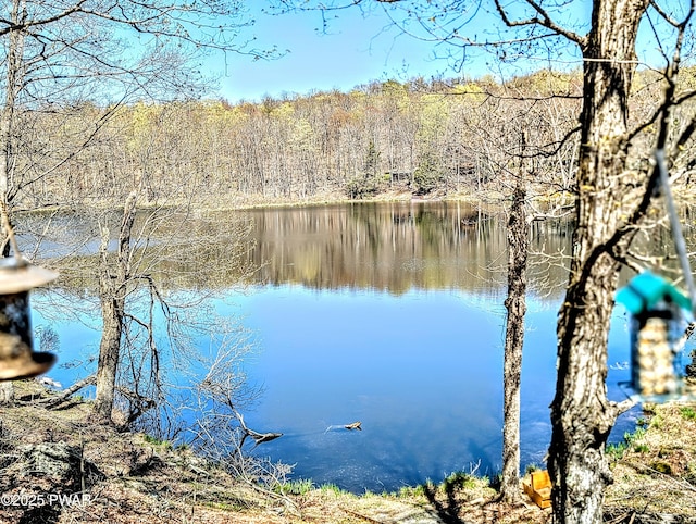 view of water feature with a view of trees