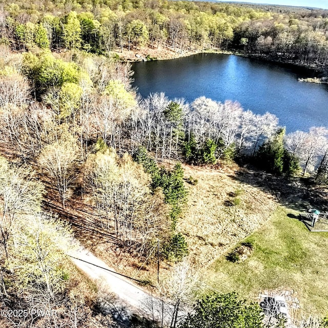 bird's eye view with a water view and a forest view