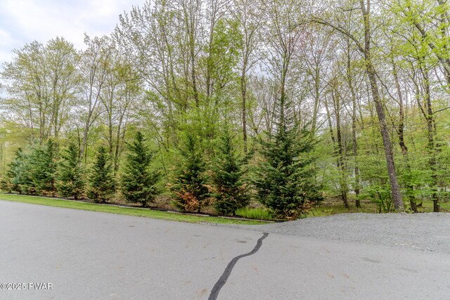 126 Blue Heron Way, Hawley, PA 18428 - photo 89
