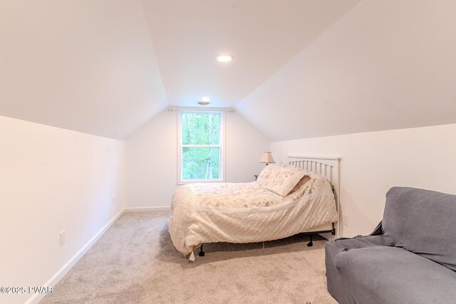126 Blue Heron Way, Hawley, PA 18428 - photo 55