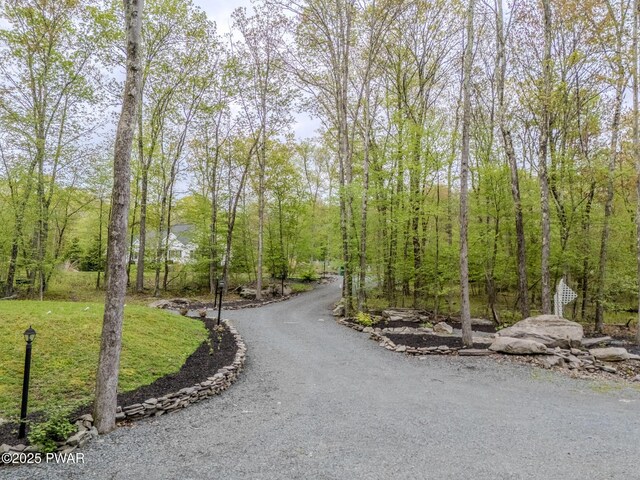 126 Blue Heron Way, Hawley, PA 18428 - photo 102
