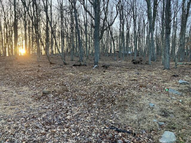 LOT314 Forest Ridge Dr, Hawley, PA 18428