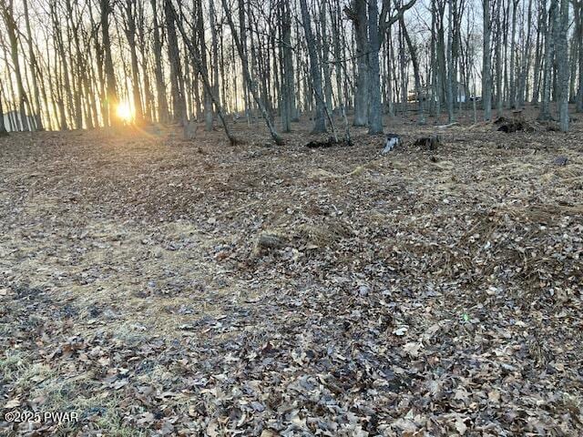 LOT314 Forest Ridge Dr, Hawley, PA 18428