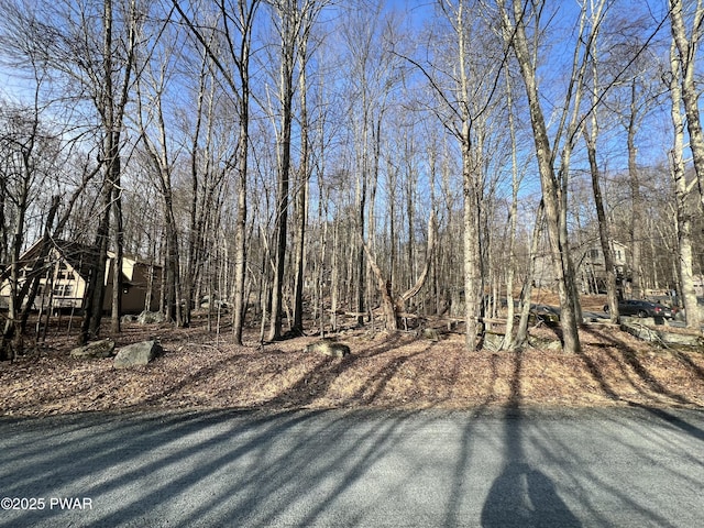 LOT579 Red Cedar Rd, Lake Ariel PA, 18436 land for sale