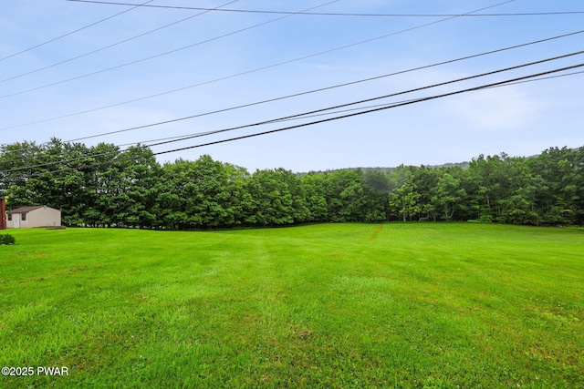 198 State Route 690, Springbrook Township, PA 18444 - view of green lawn