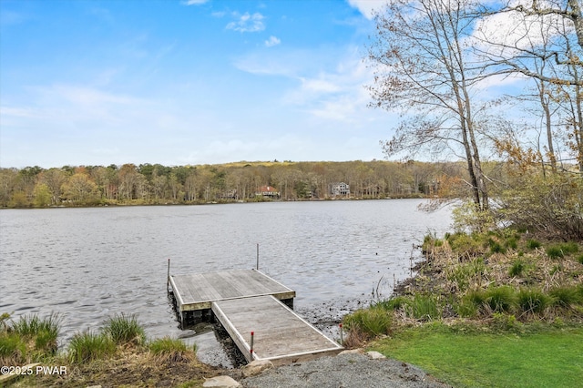 204 Forest Dr, Lords Valley, PA 18428 - photo 6