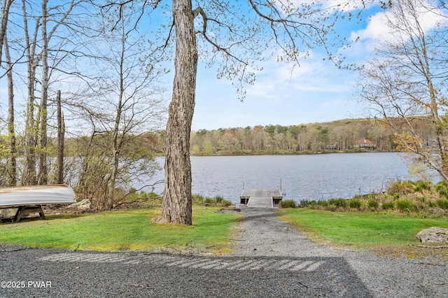 204 Forest Dr, Lords Valley, PA 18428 - photo 79