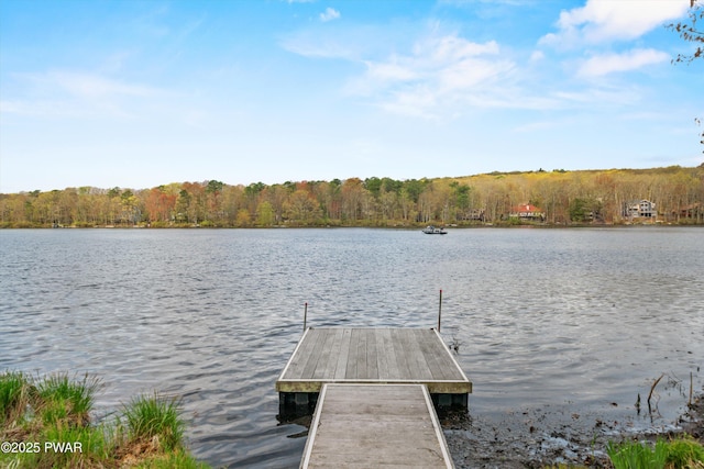 204 Forest Dr, Lords Valley, PA 18428 - photo 77