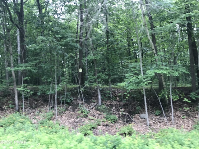 112 Swamp Brook Path, Hawley, PA 18428 - photo 11
