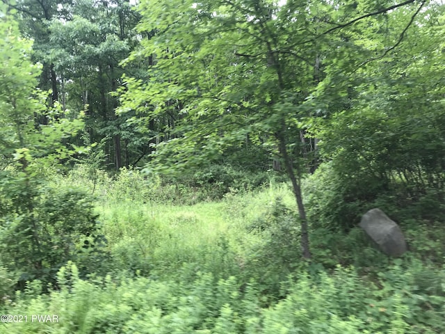 112 Swamp Brook Path, Hawley, PA 18428 - photo 10