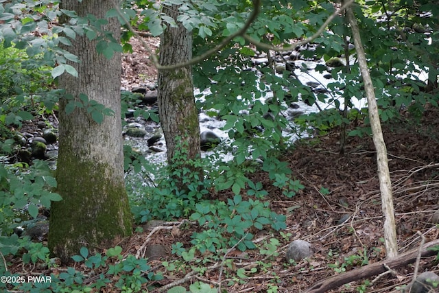 103 Valley Forge Rd, Milford, PA 18337 - view of undeveloped land