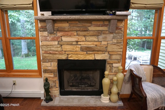 103 Valley Forge Rd, Milford, PA 18337 - detailed view of a baseboard heating unit, wood finished floors, and a stone fireplace