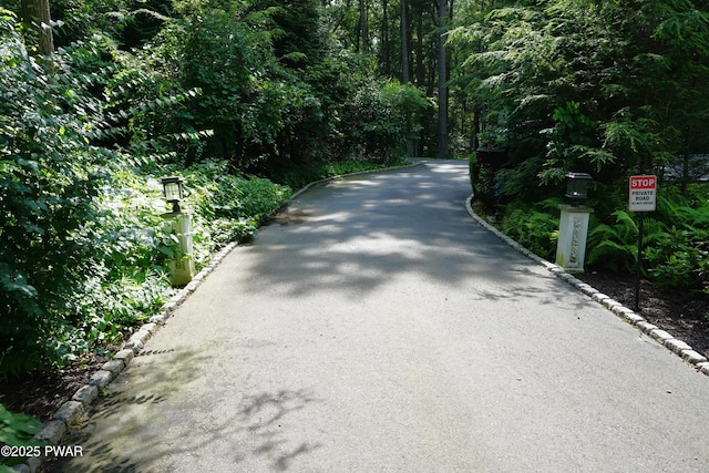 103 Valley Forge Rd, Milford, PA 18337 - view of road with curbs and a wooded view