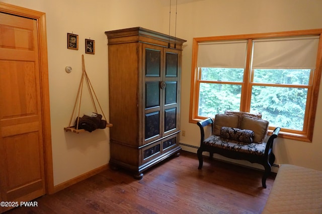 103 Valley Forge Rd, Milford, PA 18337 - sitting room featuring dark wood-style flooring, plenty of natural light, and baseboard heating