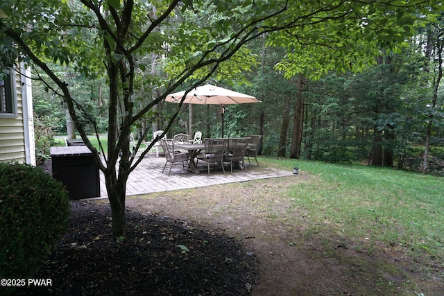 103 Valley Forge Rd, Milford, PA 18337 - view of grassy yard featuring a patio area and a forest view