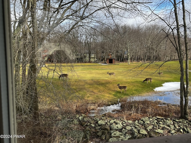 view of yard with a water view