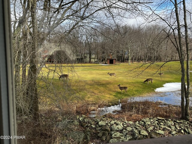 view of yard with a water view