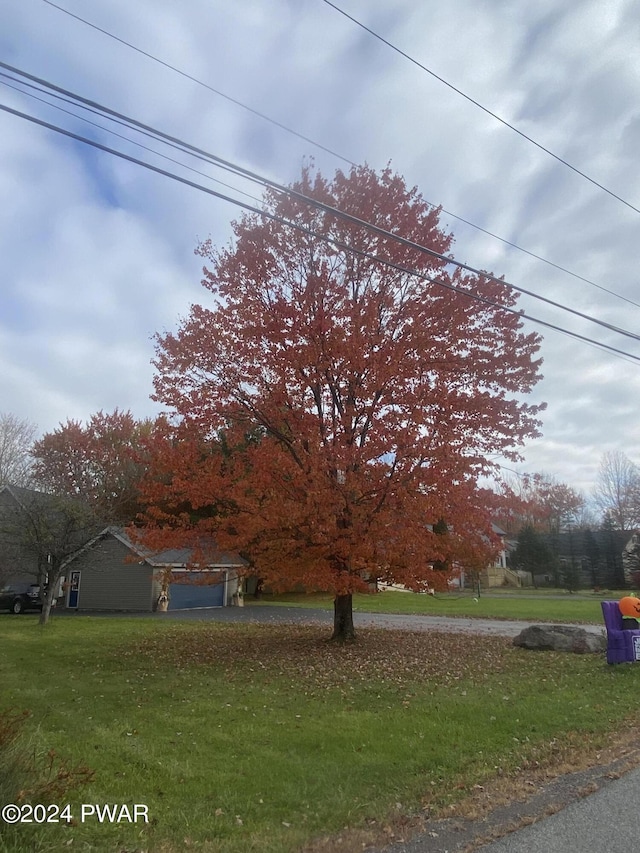 view of front facade with a front lawn