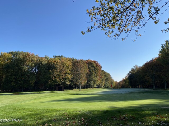 view of home's community with a yard