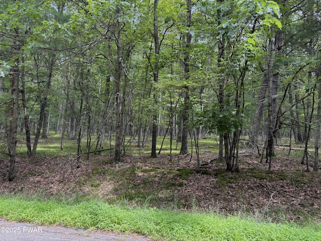 335 Westwood Ln, Hawley, PA 18428