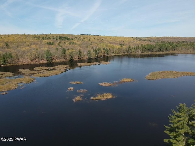 335 Westwood Ln, Hawley, PA 18428