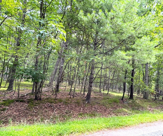 335 Westwood Ln, Hawley, PA 18428