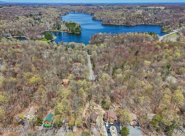 drone / aerial view featuring a view of trees and a water view