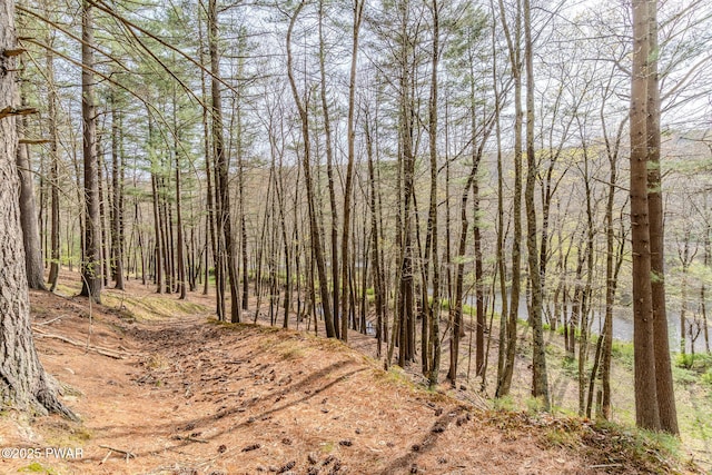 117 Circle Dr, Hawley, PA 18428 - view of nature featuring a wooded view