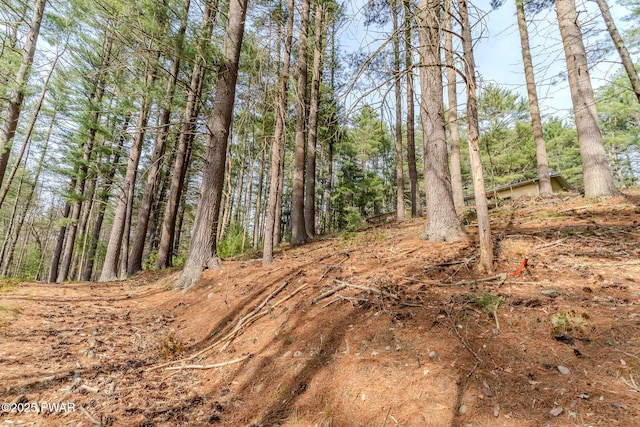 117 Circle Dr, Hawley, PA 18428 - view of local wilderness