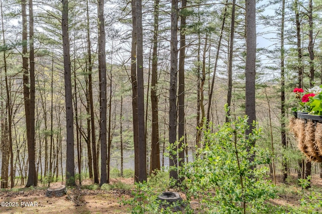 117 Circle Dr, Hawley, PA 18428 - view of local wilderness featuring a wooded view