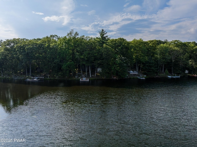 199 Mountain Lake Dr, Dingmans Ferry, PA 18328 - photo 44