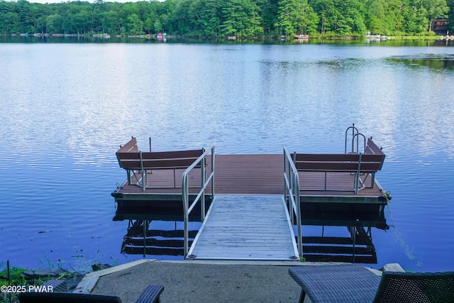 199 Mountain Lake Dr, Dingmans Ferry, PA 18328 - photo 46