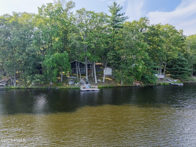 199 Mountain Lake Dr, Dingmans Ferry, PA 18328 - photo 42