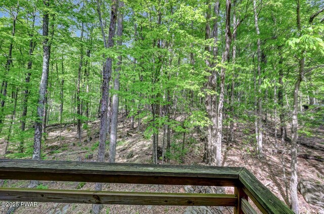 3538 Chestnut Hill Dr, Lake Ariel, PA 18436 - photo 39