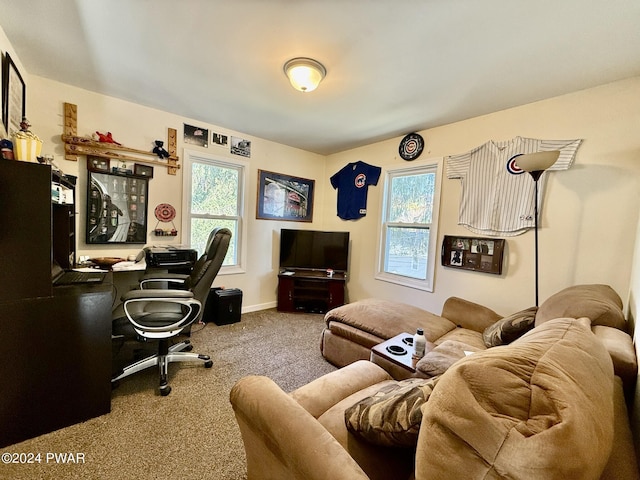 office space featuring carpet flooring and plenty of natural light