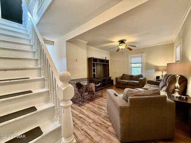 living room featuring ceiling fan, light hardwood / wood-style flooring, and ornamental molding